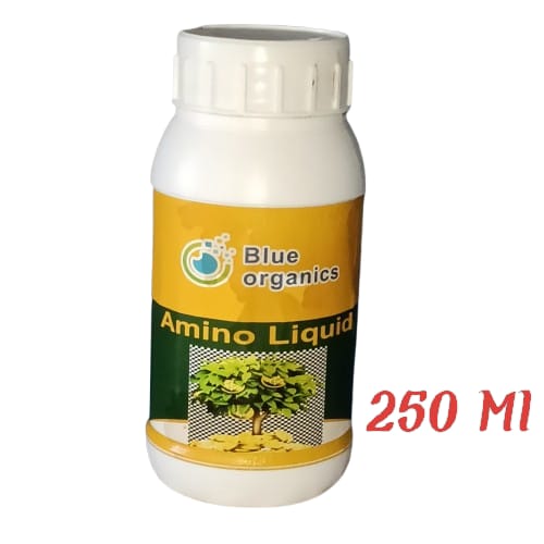 Amino (250ml)